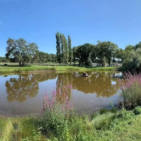 3 Etoiles - Piscine - Eeeddg *